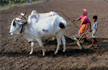 Centre to make loans cheaper for farmers